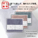 のし無料 驚くほどに 軽い 育てるタオル 日本泉州タオル スリムバスタオル1P 泉州タオル ふわふわタオル ギフト 御中元 御歳暮 出産祝い 結婚祝い 内祝い ...