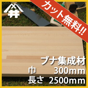 【カット無料！】北欧家具によく使われる木材。ブナ集成材　サイズ：厚み50mm×巾300mm×長さ2500mm/木材　/カット無料/板/無垢集成材/DIY/日曜大工/テーブル脚/角材/柱/リノベーション