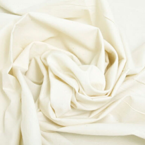 Τü졦ϲե㤨2023ŷ̤[](1̡5פ 10cmñפβǤʤ46ߤˤʤޤ