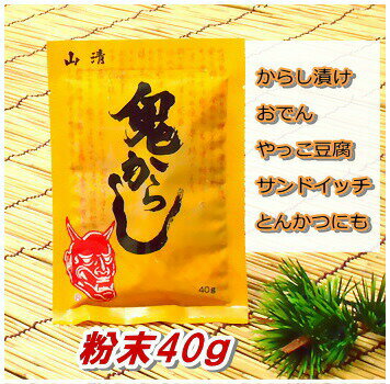 山清 粉末 鬼からし 40g【山清 激辛 スパイス からし サンドイッチ】