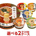 日清 麺職人 選べる合計2ケース（24個入）セット[送料無料