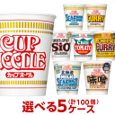 送料無料(※沖縄別料金) 日清 カップヌードル 選べる合計5ケース（100個入）セット[日清食品 送料無料(※沖縄別料金) カップラーメン アソート カップ麺 詰め合わせ まとめ買い 箱 ケース ]