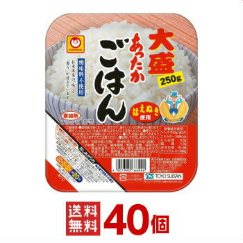 マルちゃん レトルトご飯 あったかごはん 大盛 250g 40個（10個入×4ケース分） 東洋水産 レトルト食品 白ごはん レンジごはん 非常食 保存食 まとめ買い 箱 ケース 送料無料