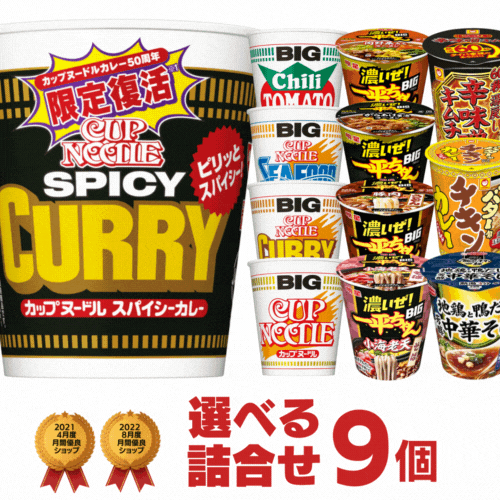 カップラーメン ビッグカップヌードル 選べる 詰め合わせ 計9個 セット[カップ麺 詰め合せ 送料無料 インスタント アソート まとめ買い 防災 非常食 お試し 仕送り 食べ比べ プレゼント ギフト]