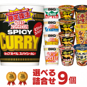 カップラーメン ビッグカップヌードル 選べる 詰め合わせ 計9個 セット[カップ麺 詰め合せ 送料無料 インスタント アソート まとめ買い 防災 非常食 お試し 仕送り 食べ比べ プレゼント ギフト]