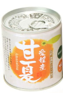 愛媛産柑橘缶詰 甘夏シラップづけ 5号缶 295g×12個セット