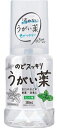 【指定医薬部外品】ケンエーのどスッキリうがい薬 ミント味 300ml