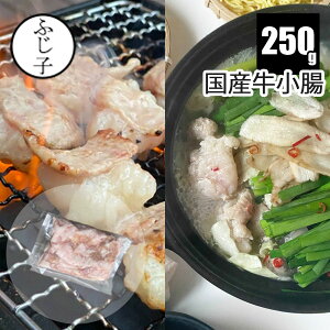 国産牛ホルモン250g 牛小腸 2~3人前 真空 モツ鍋 焼肉 博多 もつ鍋 鍋 ふじ子ちゃん