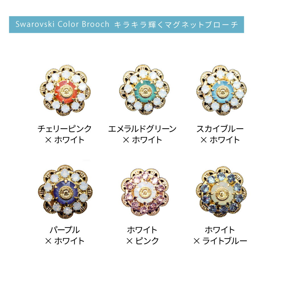 ロータリークラブ シャイニーマグネットブローチ スモール