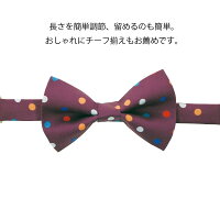 ロータリークラブ2021-22年度テーマネクタイシルク100%SERVETOCHANGELIVES奉仕しようみんなの人生を豊かにするためにRC