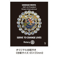 ロータリークラブ2021-22年度テーマネクタイシルク100%SERVETOCHANGELIVES奉仕しようみんなの人生を豊かにするためにRC