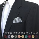 全10種 柄物 ポケットチーフ 台紙付き 挿すだけ 台紙 結婚式 ビジネス リモート ワンタッチ 差し込み 簡単 便利 ペイズリークロス柄 ペイズリー柄 花柄 ...