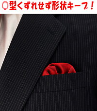 【シルクポケットチーフ】【盲導犬支援】簡単!差し込むだけ!台紙付きワンタッチ