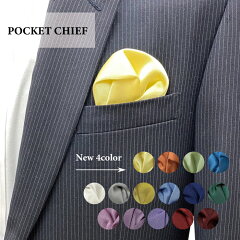 https://thumbnail.image.rakuten.co.jp/@0_mall/fujimaki-necktie/cabinet/shouhin/mujipocketchief/1top_011.jpg