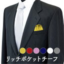 簡単!ポケットに差し込むだけ! リッチポケットチーフ 台紙付き 挿すだけ 結婚式 ギフト シルク 高級 ボリューム ワンタッチ 簡単 便利 差し込み ポケットチ...
