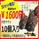 商品画像：こだわり食材マーケットの人気おせち楽天、20セット限定！！小サザエ10個【送料別！！漁師直送！！】天然活きサザエ1個約80gの小さいサイズのサザエを、10個セットにしてお届け！！（サイズ小）