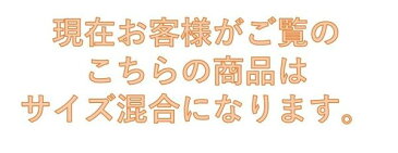 【送料無料】蒲江産の天然とこぶし！！美味な天然トコブシをご家庭で！トコブシ約700g（15個程度）【サイズ混合】