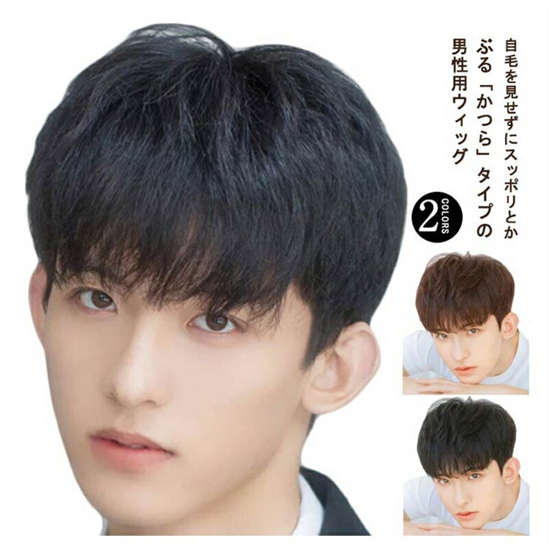 普段使い メンズウィッグ 男性用かつら 人毛100% メンズウィッグ 自然 ウィッグ 黒髪 フルウィッグ 白髪隠し ボリュームアップ 医療用ウィッグ 軽量 通気性 ヘアスタイリング メンズウイッグ