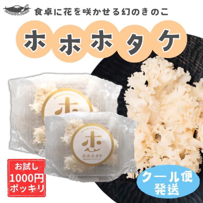 1000円ポッキリ お試し 2個セット 産地直送 静岡産【満天青空レストラン】ホホホタケ はなびらたけ 珍..
