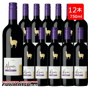 【一部送料無料】サンタ・ヘレナ アルパカ カルメネール 750ml×12本 赤ワイン セット 辛口 チリワイン SANTA HELENA Alpaca※ヴィンテージが画像と異なる場合がありますご注文前にお問い合わせ下さい。暑中見舞い お中元 ギフト 御祝 熨斗