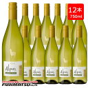 チリワイン 【一部送料無料】サンタ・ヘレナ アルパカ シャルドネ・セミヨン750ml×12本 白ワイン セット 辛口 チリワイン　SANTA HELENA Alpaca※ヴィンテージが画像と異なる場合がありますご注文前にお問い合わせ下さい。母の日 父の日 就職 退職 ギフト 御祝 熨斗