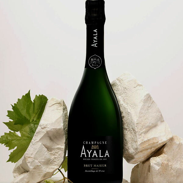 アヤラ ブリュット マジュール 750ml AYALA SSSお中元 暑中見舞い ギフト 御祝 熨斗 fujimatsuwine-10039757 業務用酒販 ふじまつ サンプル画像2