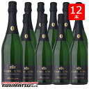 【一部送料無料】カールユング スパークリング ドライ 辛口 750ml×12本 ノンアルコールスパークリングワイン暑中見舞い お中元 ギフト 御祝 熨斗