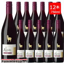 【一部送料無料】サンタ・ヘレナ アルパカ シラー 750ml×12本 赤ワイン セット 辛口 チリワイン SANTA HELENA Alpaca※ヴィンテージが画像と異なる場合がありますご注文前にお問い合わせ下さい。暑中見舞い お中元 ギフト 御祝 熨斗