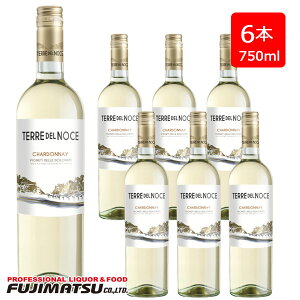 テッレ・デル・ノーチェ シャルドネ 750ml ×6本 Terre Del Noce Chardonnay※12本まで1個口で発送可能※ヴィンテージやエチケットが画像と異なる場合がございます、ご注文前にお問い合わせ下さい。暑中見舞い お中元 ギフト 御祝 熨斗
