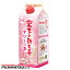 岩下の新生姜サワーの素 500ml ※12本まで1個口で発送可能母の日 父の日 就職 退職 ギフト 御祝 熨斗