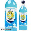 網走ビール オホーツク流氷 塩レモンサワーの素 500ml オホーツク海の流氷 塩 25% 母の日 ギフト 御祝 熨斗