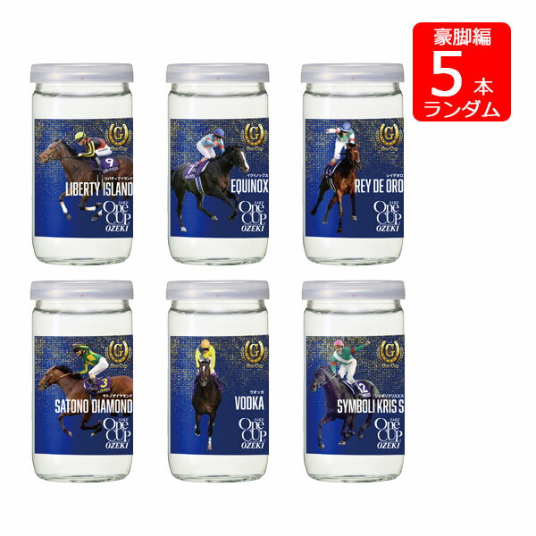 【決算セール価格】大関 上撰ワンカップ180ml×5本（豪脚編）(G-OneCup) 母の日 父の日 就職 退職 ギフト 御祝 熨斗 SSS