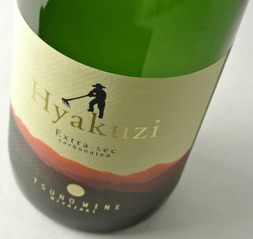 都農ワイン Hyakuzi(百二) エクストラセック [NV] 750ml