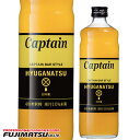 中村 キャプテン 日向夏 600ml (宮城県産日向夏果汁使用)※12本まで1個口で発送可能敬老 ギフト 御祝 熨斗