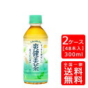 【送料無料】コカ・コーラ 爽健美茶 300mlPET【24本×2ケース】※代引き不可・クール便不可※のし・ギフト包装不可※コカ・コーラ製品以外との同梱不可ご注文...