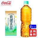 【送料無料】爽健美茶 ラベルレス 500mlPET【24本×2ケース】※代引き不可・クール便不可※のし・プレゼントラッピング・ギフト包装不可※コカ・コーラ製品以外との同梱不可ご注文完了後のキャンセル不可