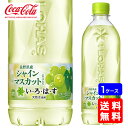 【送料無料】いろはす シャインマスカット 540ml PET【24本×1ケース】※代引き不可・クール便不可※のし・プレゼントラッピング・ギフト包装不可※コカ・コーラ製品以外との同梱不可ご注文完了後のキャンセル不可