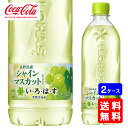 【送料無料】いろはす シャインマスカット 540mlPET【24本×2ケース】※代引き不可・クール便不可※のし・プレゼントラッピング・ギフト包装不可※コカ・コーラ製品以外との同梱不可ご注文完了後のキャンセル不可