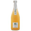 丹波ワイン てぐみ petit プチ 白(スパークリング) 500ml※12本まで1個口で発送可能暑中見舞い お中元 ギフト 御祝 熨斗