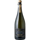 サンテロ ブラック ブリュット 750ml ※12本まで1個口で発送可能暑中見舞い お中元 ギフト 御祝 熨斗