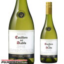カッシェロ ヴィオニエ 白 750ml※12本まで1個口で発送可能※ヴィンテージやエチケットが画像と異なる場合がございます、ご注文前にお問い合わせ下さい。暑中見...