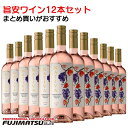 ナティバ カルメネール ナチュラルホワイト 750ml×12本セット ナティバ・エステーツ チリ※12本まで1個口で発送可能母の日 父の日 就職 退職 ギフト 御祝 熨斗