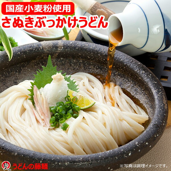 包丁切りさぬき 半生うどん国産小麦 YN うどん 国産 さぬき 半生 包丁切り 香川 ギフト 藤井製麺 讃岐 つゆ付 藤麺 国産小麦粉 国産小麦