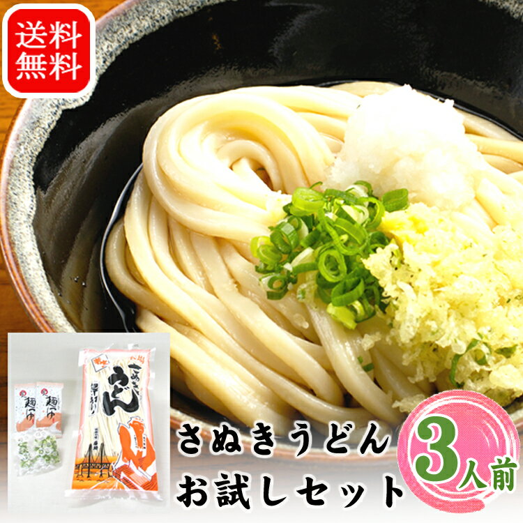 送料無料 さぬきうどん お試し セット うどん さぬき 半生 包丁切り 香川 藤井製麺 讃岐 つゆ付 藤麺 ..