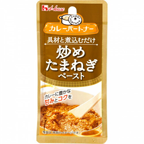 【送料無料(ネコポス)】ハウス カレーパートナー ＜炒めたまねぎペースト＞ 40g×10袋