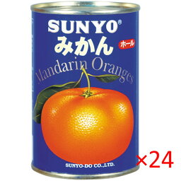 (2ケース）あいサンヨー みかん 4号缶 425g 24缶【SUNYO 缶詰 果物 フルーツ 蜜柑】