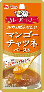 【送料無料(ネコポス)】ハウス カレーパートナー　＜マンゴーチャツネペースト＞ 40g×10袋