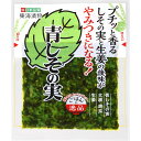 【ネコポス】東海漬物 青しその実 80g 漬物 胡瓜 きゅうり ご飯のお供