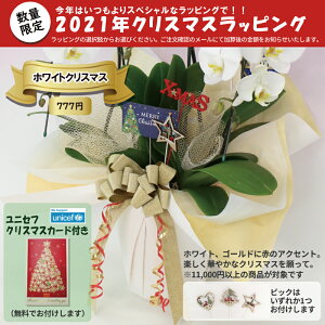 クリスマススペシャルラッピング