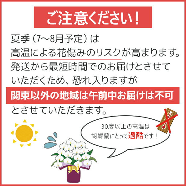 楽天市場 胡蝶蘭 ミディ中輪2本立ち 5種類 あす楽 花 コチョウラン ギフト プレゼント お祝い お中元 お誕生日祝い 開店祝い 移転祝い オープン 御礼 就任祝い 内祝 記念日 発表会 お礼 退職祝い お供え 供花 自宅用 月間優良ショップ ふじみ野ラン園 楽天市場店